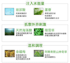 iSpring蘆薈小毛孔控油面膜 10入(无盒)