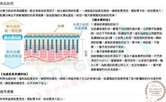 水膜力妝前保濕凝露 30ml 一滴終結乾枯脫妝 全天候敷著隱形面膜